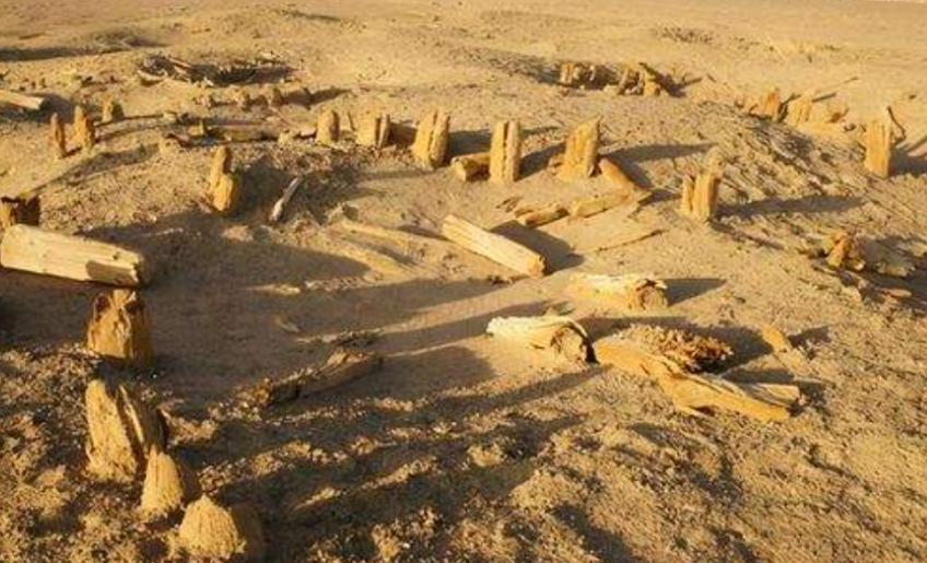 古墓被盗盗墓贼,楼兰古墓被盗案