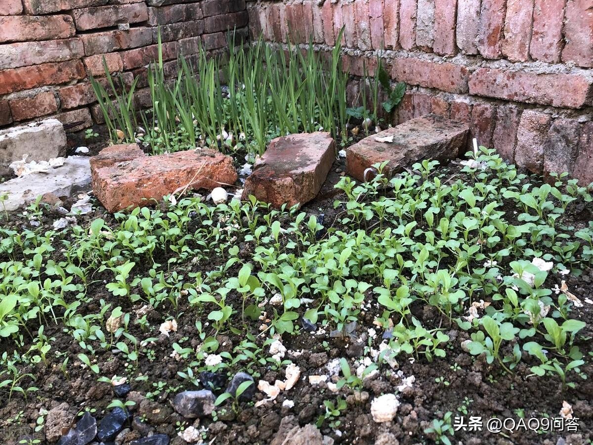 日本核污水排海后我们要做什么,日本核污水排海后怎么办