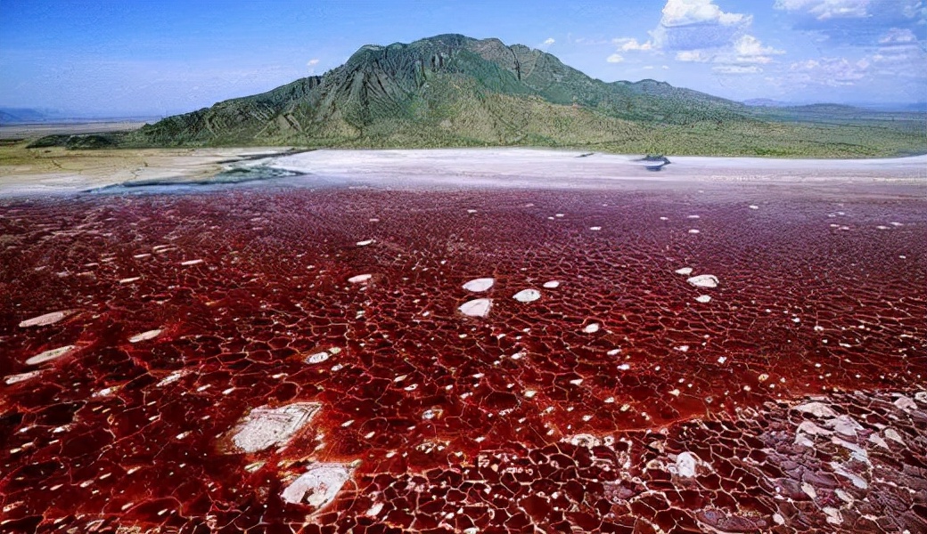 鬼斧神工大自然十大奇观,地球上的七大自然奇观