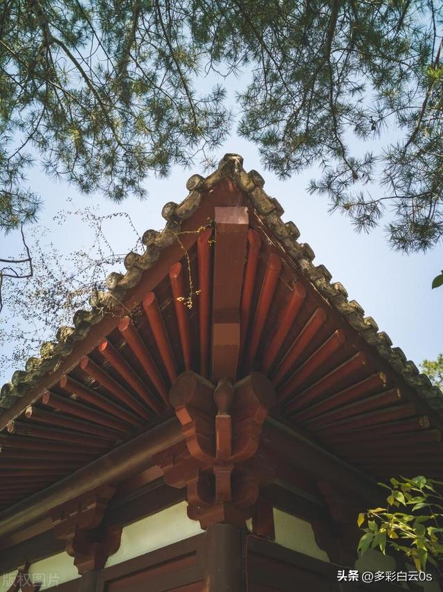 如何评价韩信的军事能力,如何评价韩信