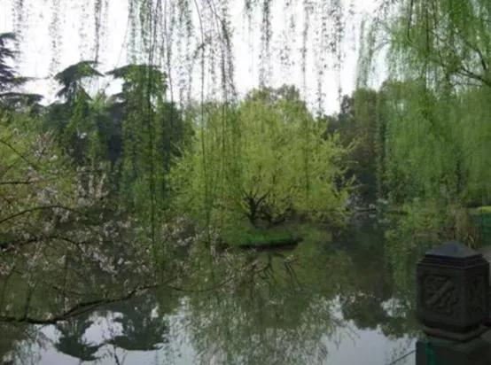 晚上杭州最值得去的五个景点,杭州名胜古迹旅游景点有哪些