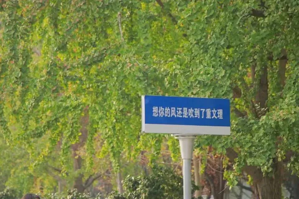 权威发布|重庆文理学院2023年本科招生章程