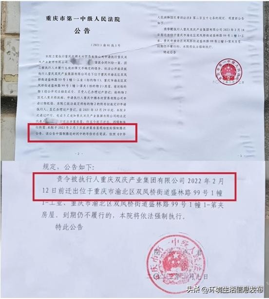 重庆双庆集团超2亿元资产遭低评贱卖幕后操控竟是掌权懂法之人