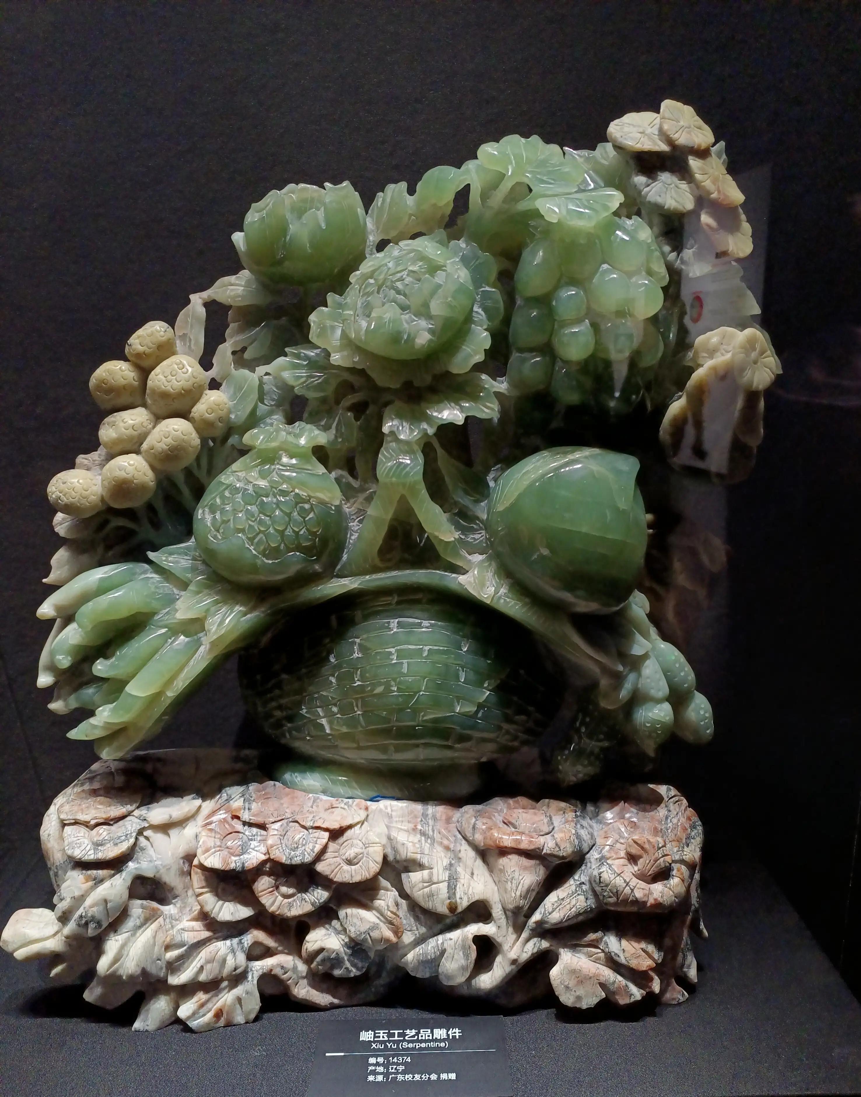 成都自然博物馆半价政策,成都自然博物馆能线下购票吗