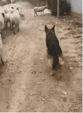 “车间女孩约我去她宿舍玩，这时候应该干点什么？”哈哈哈