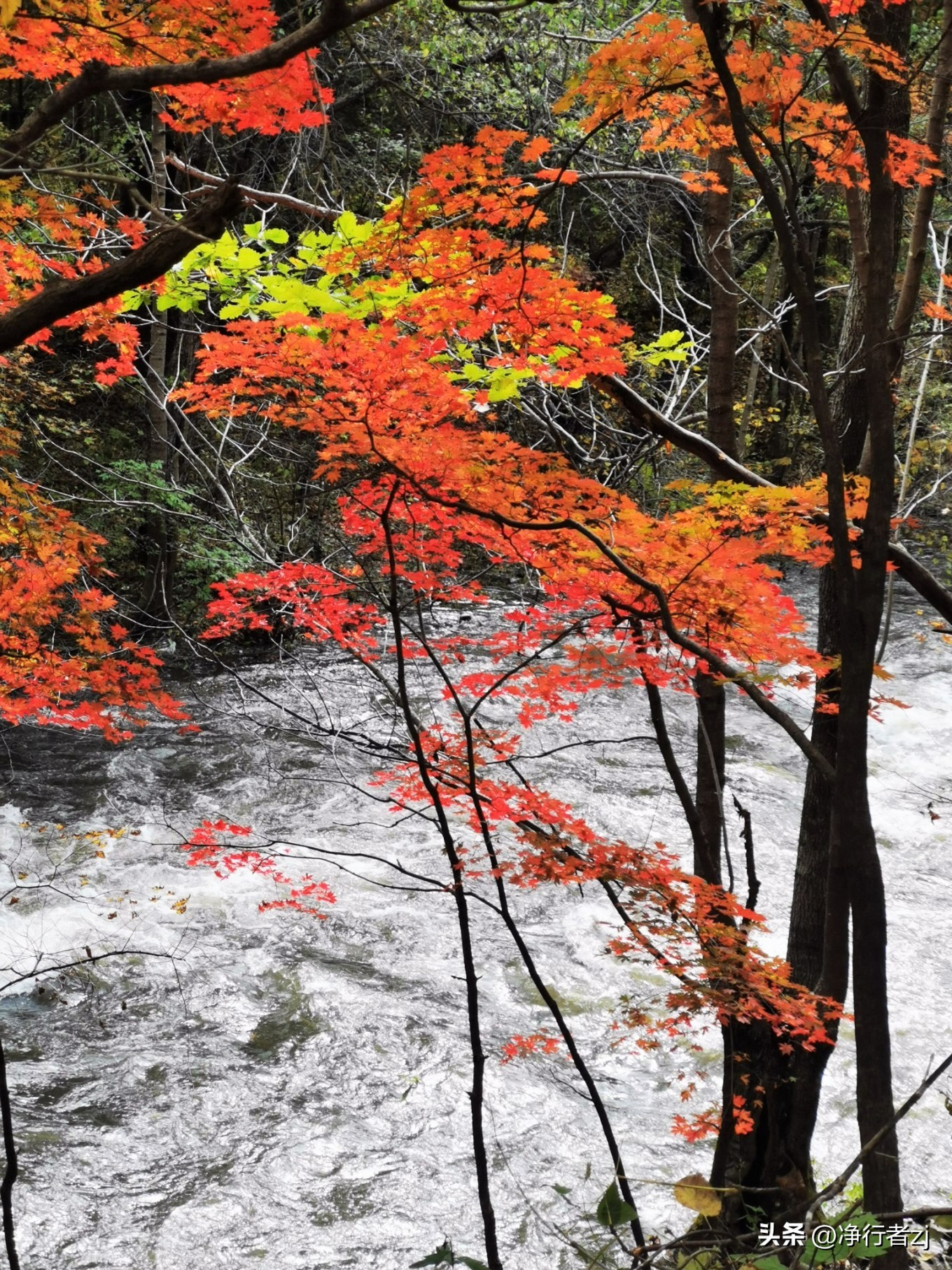 图们江口岸游记,从图们市到牡丹江自驾游
