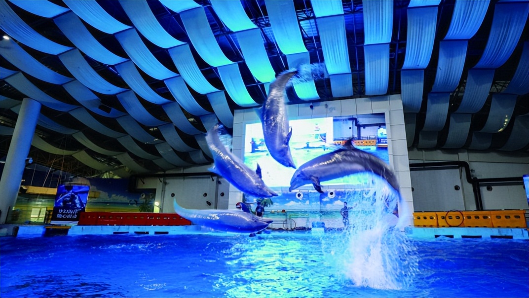 合肥市新桥机场旁边有旅游景点,合肥市好玩的旅游景点