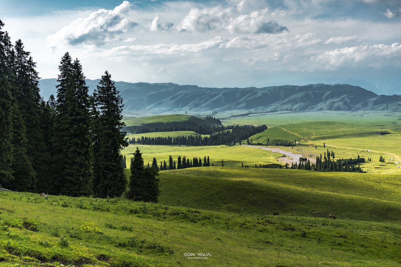 新疆伊犁之美,走了一圈才发现世界万物远不及你