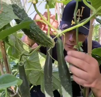 徐海乔入行十几年的角色,徐海乔杀青照片