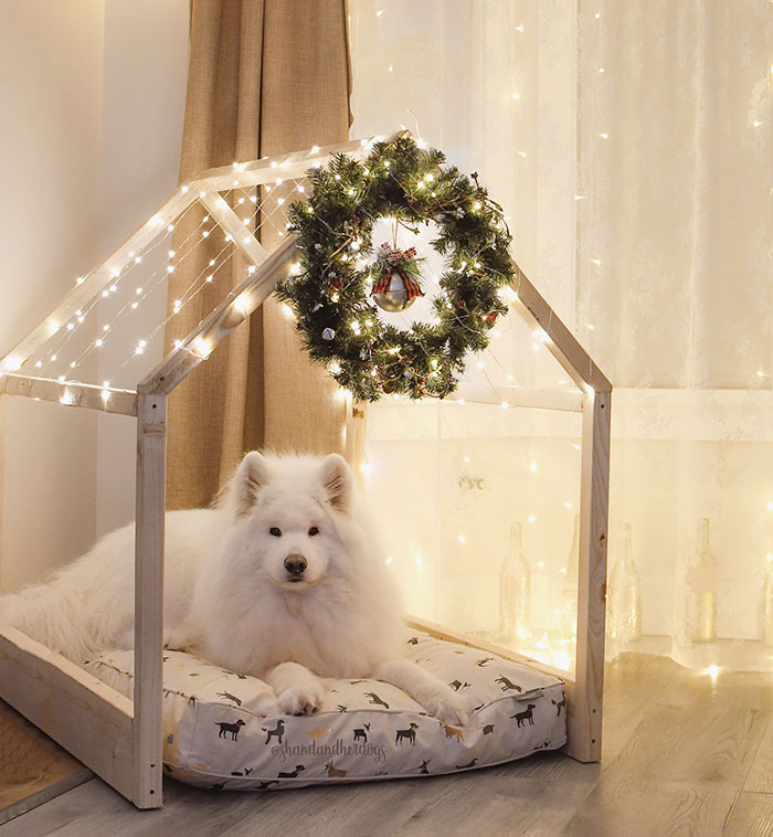 外国网友分享，这波男朋友/丈夫给另一半的惊喜，每一个都太甜了