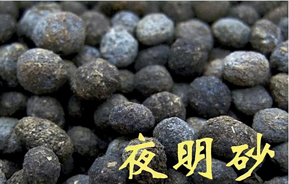 粪便入药到底是愚昧还是科学,中医粪便入药原理