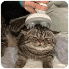 一不留神，按摩器就变“电棒”！