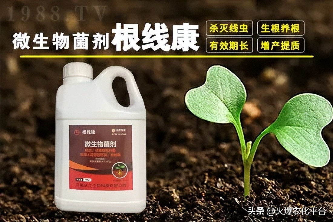 常见的杀线虫药剂有哪些,杀线虫的正确方法