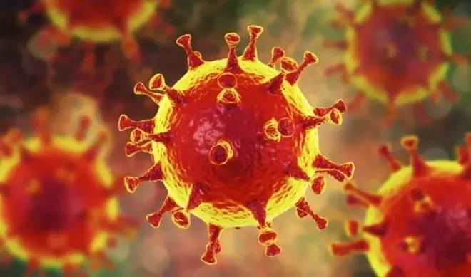 阴阳之间视频,阴阳之间的故事