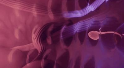 为了延长时间,同房时忍着不射有用吗?对身体会造成哪些影响?