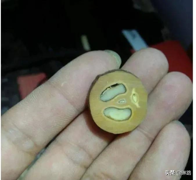 一种北方人没见过像水果却是菜的黑橄榄也叫油橄榄