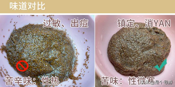 海藻面膜海藻是哪儿来的,海藻面膜的海藻是陆地上的吗