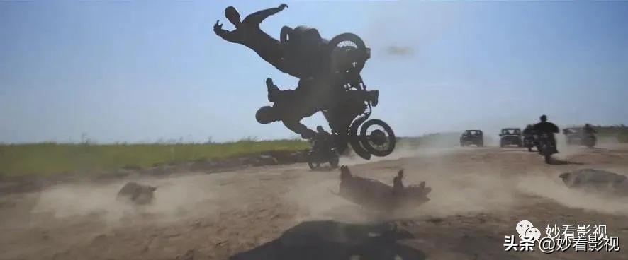 救命卡特2免费完整版在线观看,救命卡特在线观看高清免费完整版