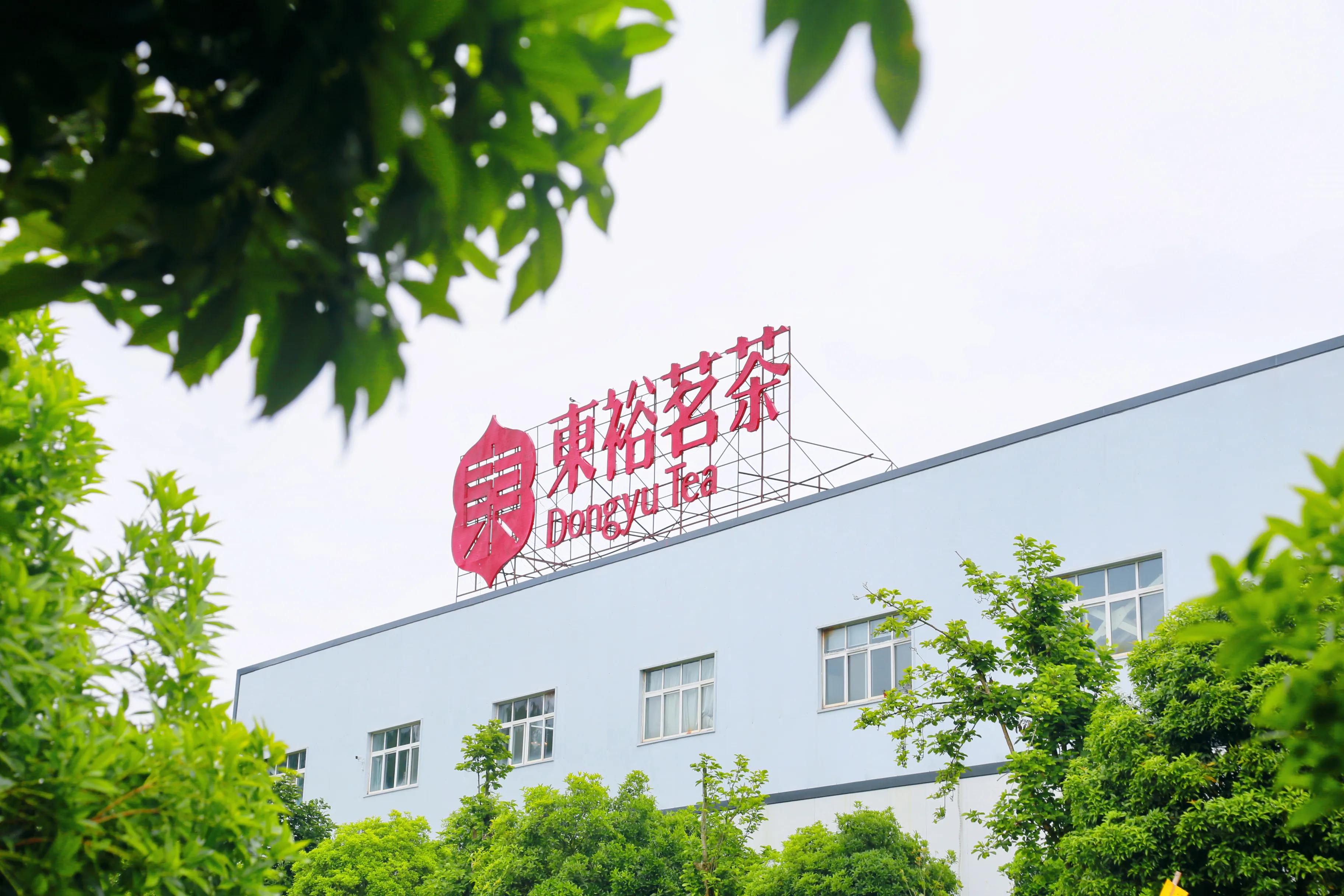 西乡县最美茶乡,西乡最美茶园