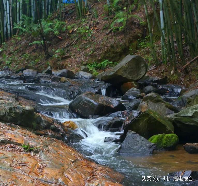 广州室内避暑的地方,广州夏日避暑胜地