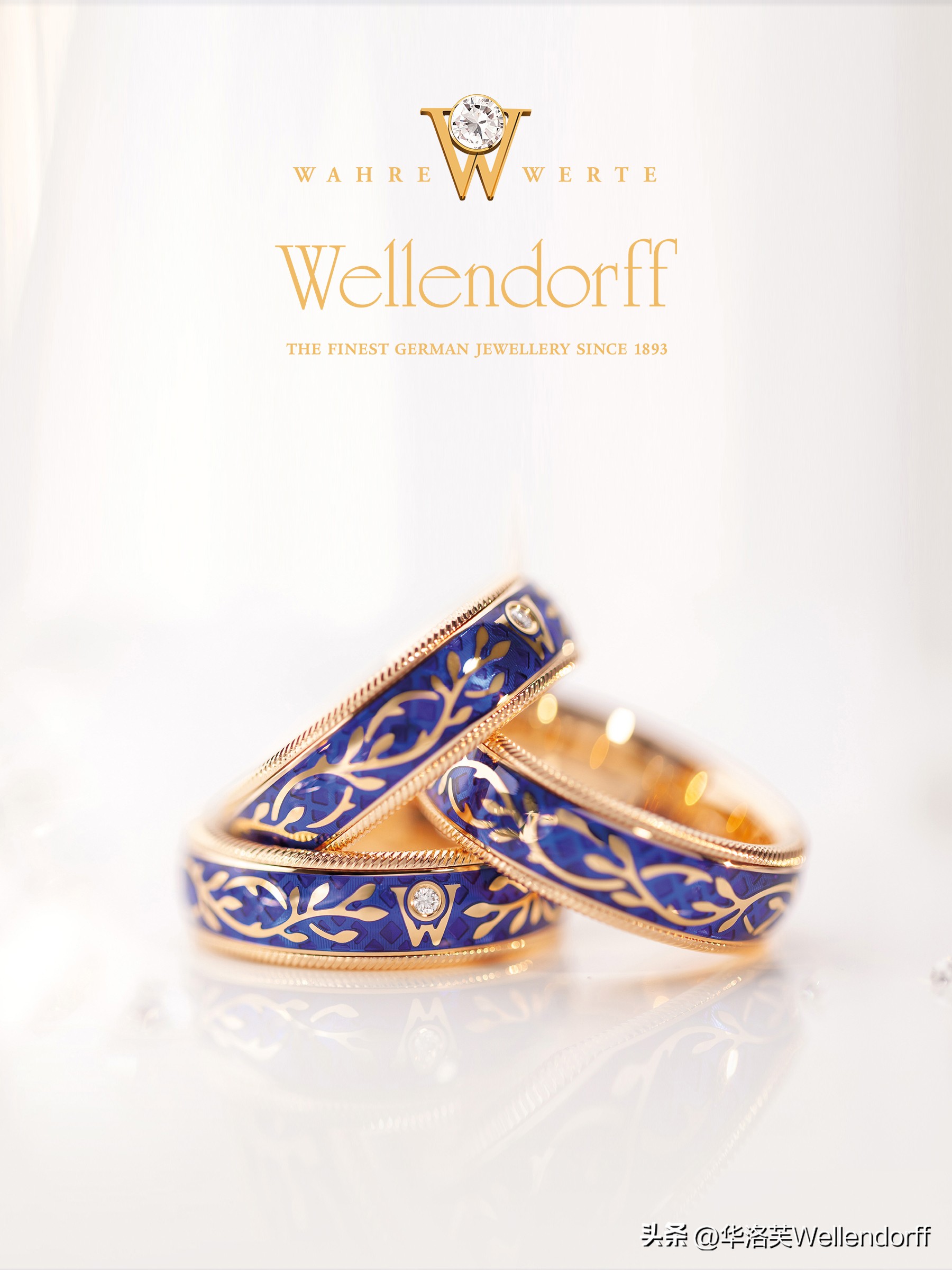 forgetmenot勿忘我,forgetmenot国外女贝斯手