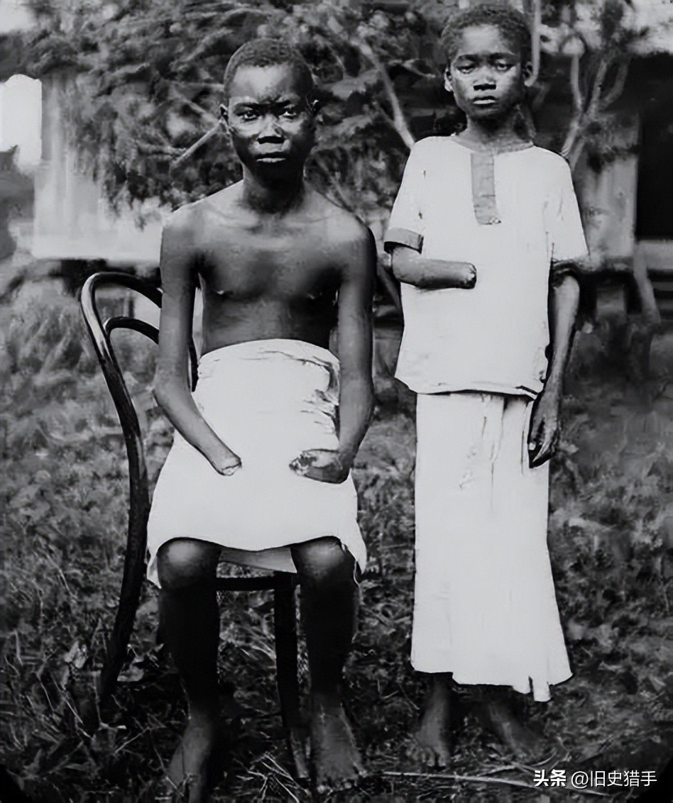 22个让人细思极恐的事实,13个关于动物的荒谬事实