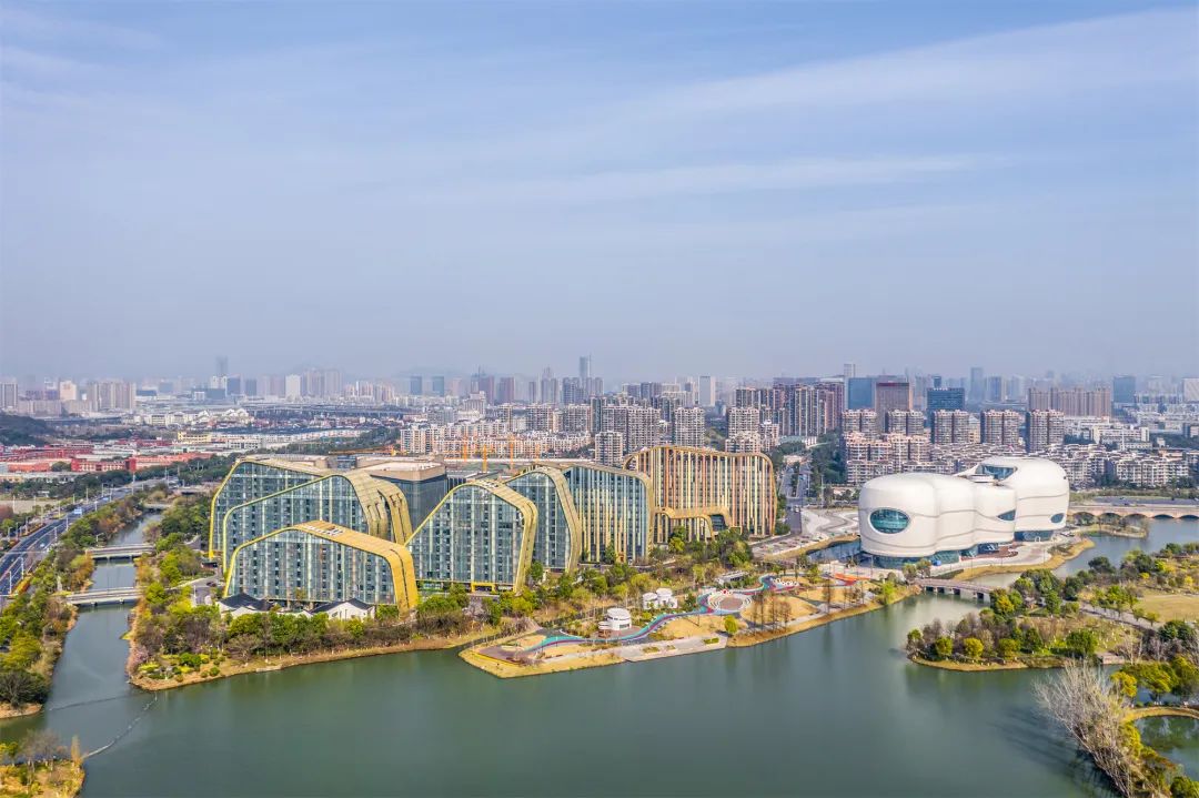 滨江为什么被称为国际滨,滨江的优势