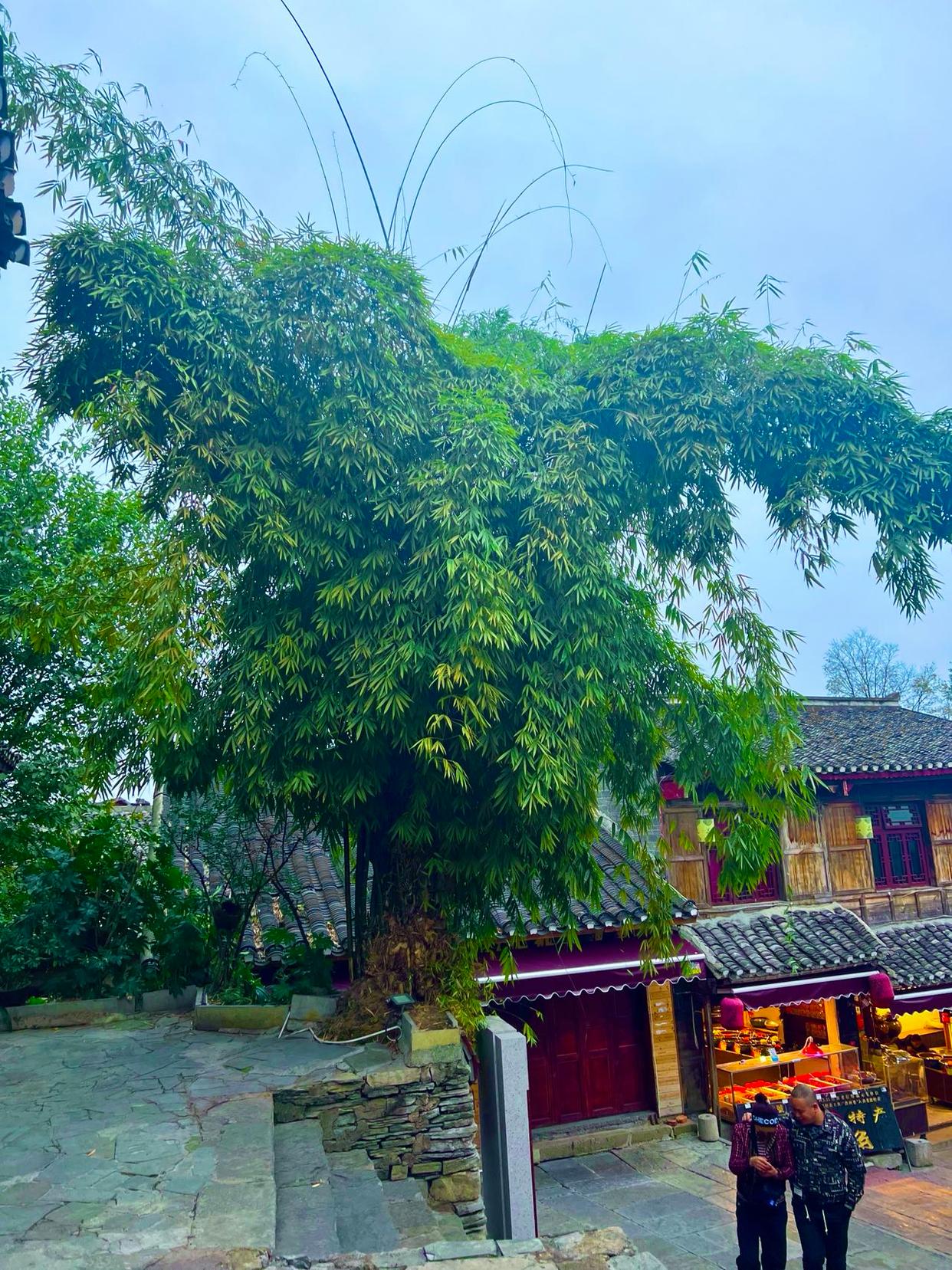 青岩古镇旅行攻略哪里实惠,青岩古镇旅行攻略哪里实惠点好