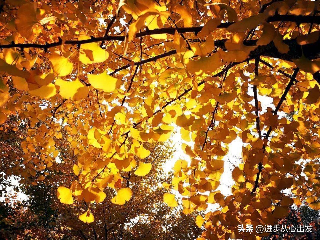 胡思乱想怎么办才能突然间消失,怎么在胡思乱想的时候停止思考