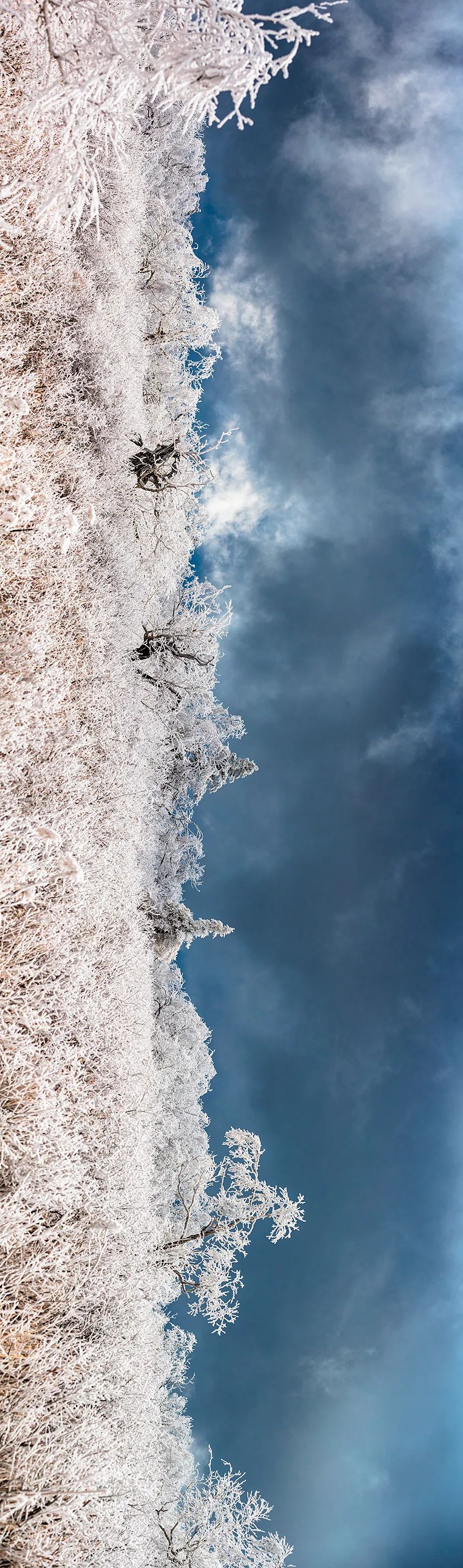 梦幻西游凤凰山,江西凤凰山梦幻影视城