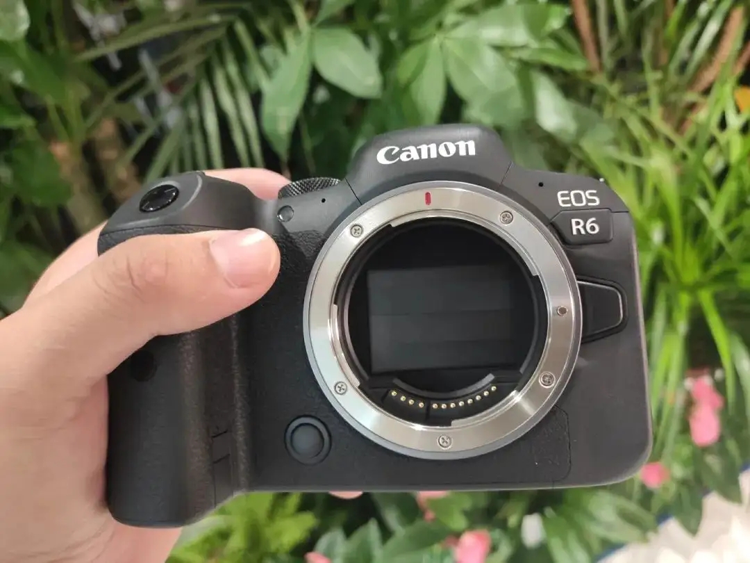 索尼尼康和佳能高端微单横向对比 (佳能微单r6与索尼a7比哪个好)