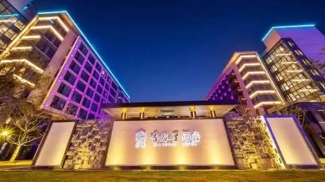 球迷反应女足亚洲杯,球迷述评中国女篮