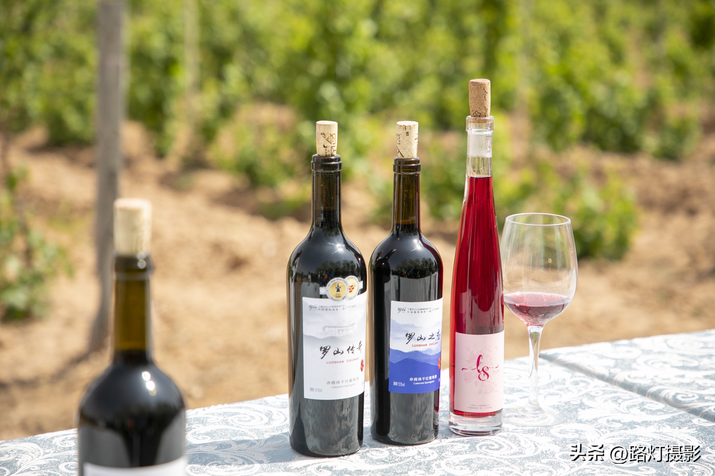 打卡世界级白酒庄园,打卡世界级白酒红酒