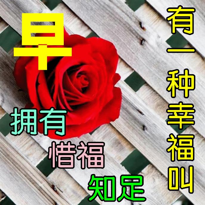 早安心语励志正能量短句2019,今天高考加油努力的句子