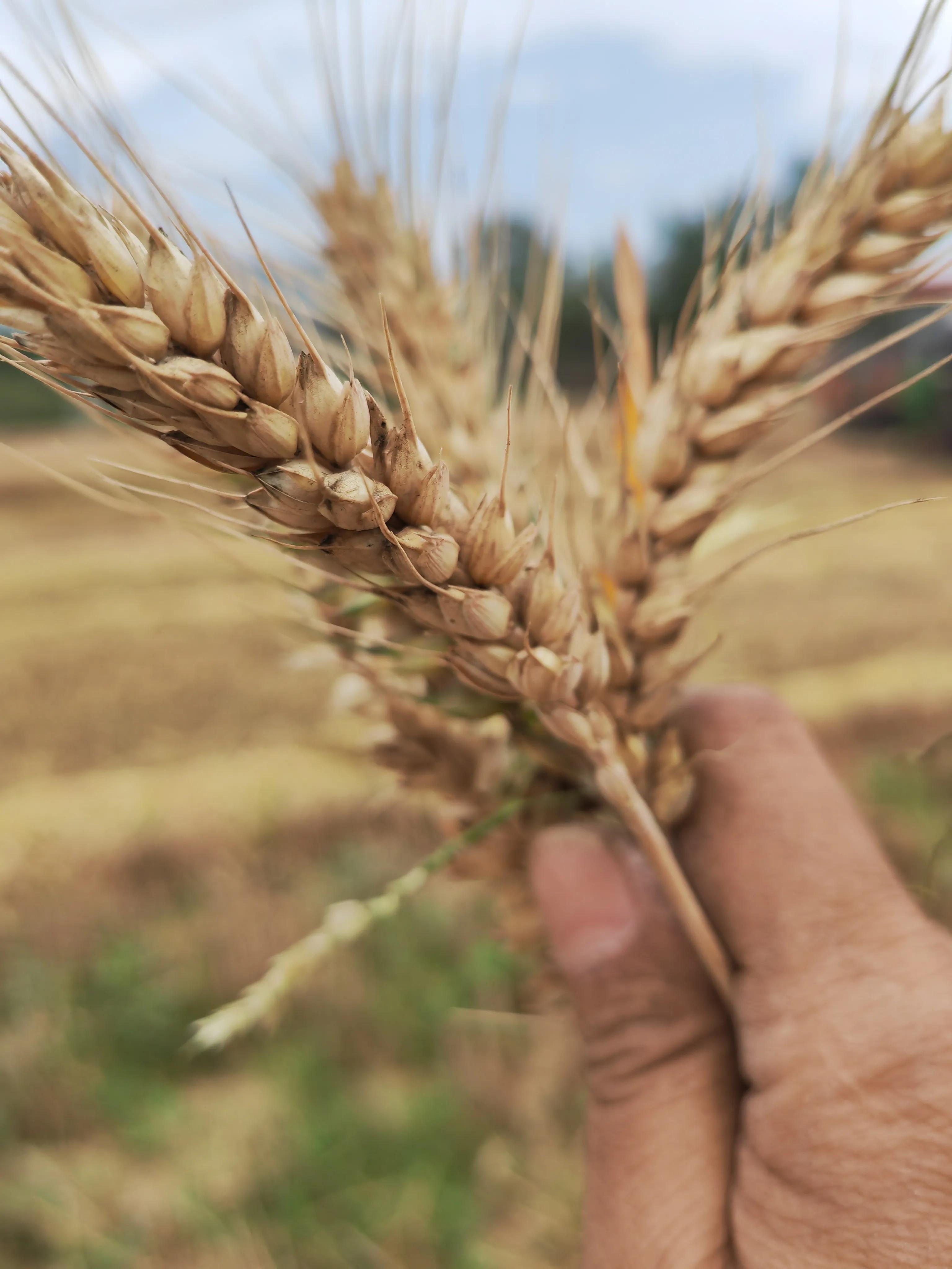 口头劝退构成事实解除劳动合同,不胜任工作为由解除劳动合同技巧