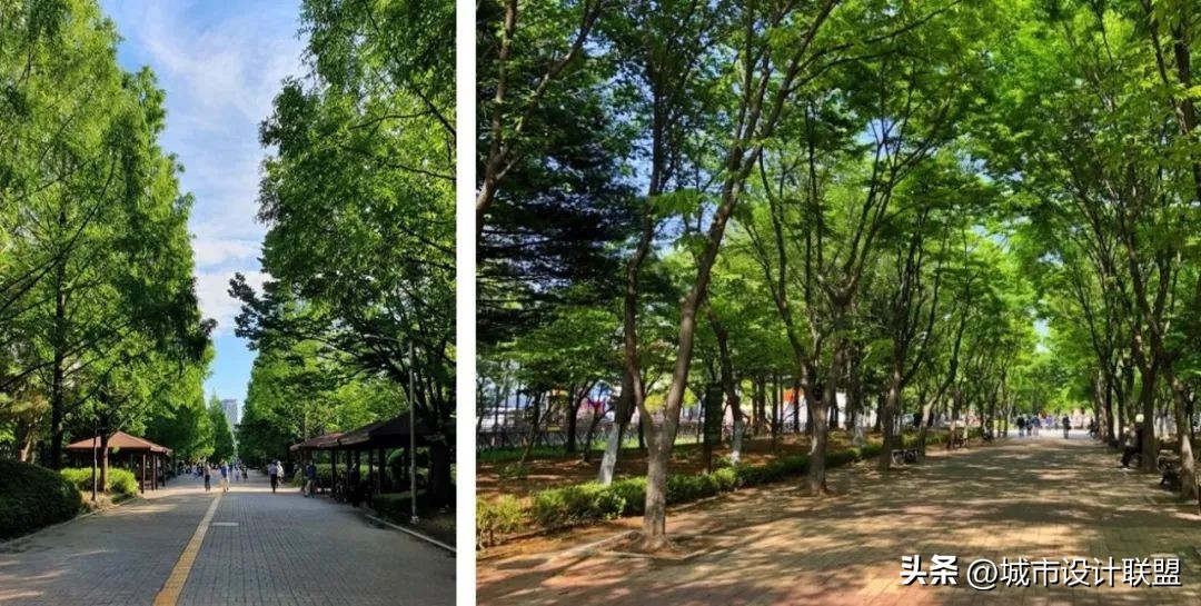 韩国经验启示,韩国首都地铁规划