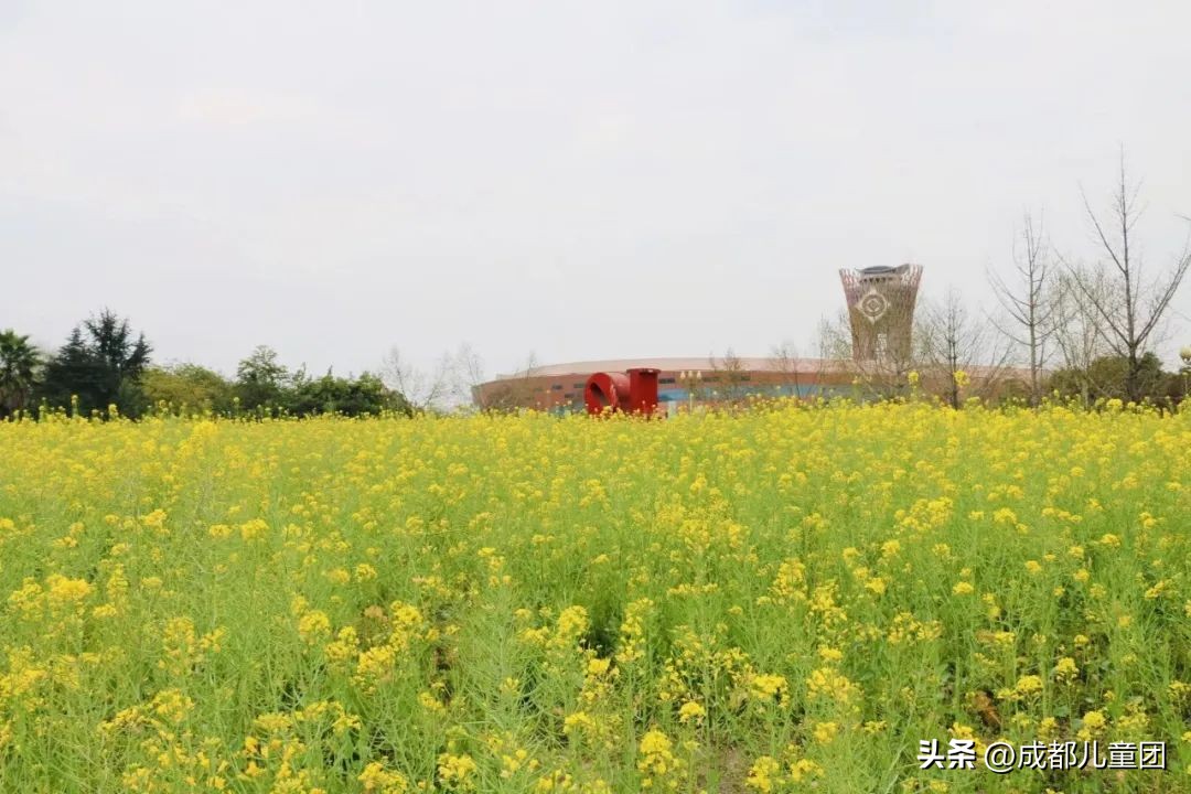 地铁3号线能到的美景地方,一号线地铁直达的风景