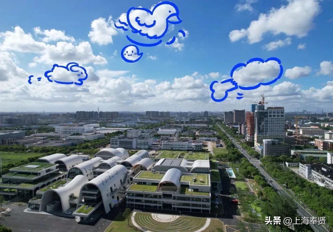 九月的第一天阳光灿烂,九月的第一天有点甜