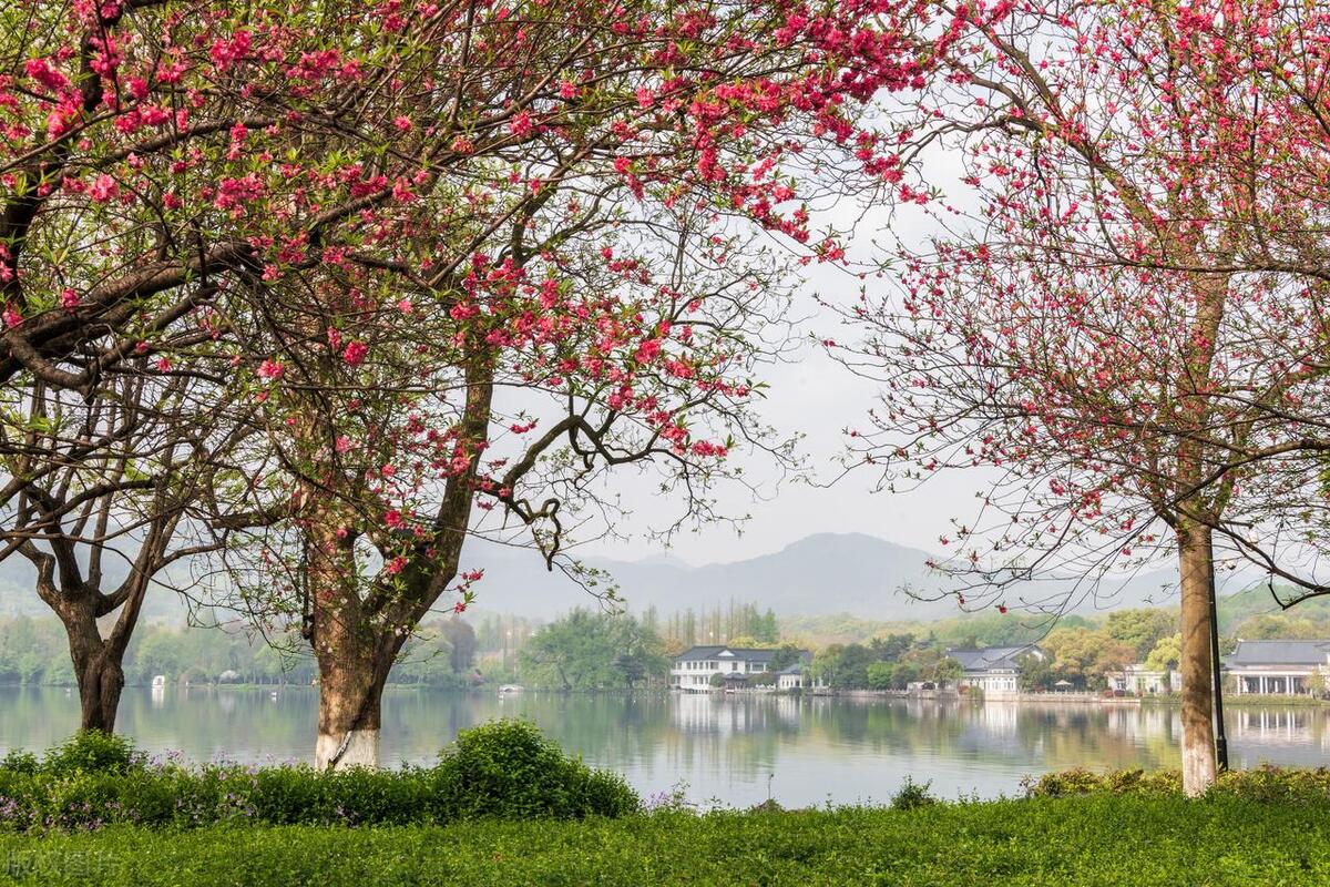 西湖十景介绍ppt,西湖十景介绍有收费的吗