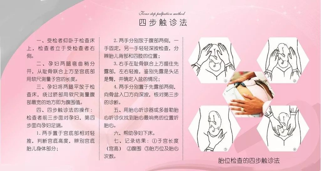 三维模拟分娩过程,模拟分娩体验仪器