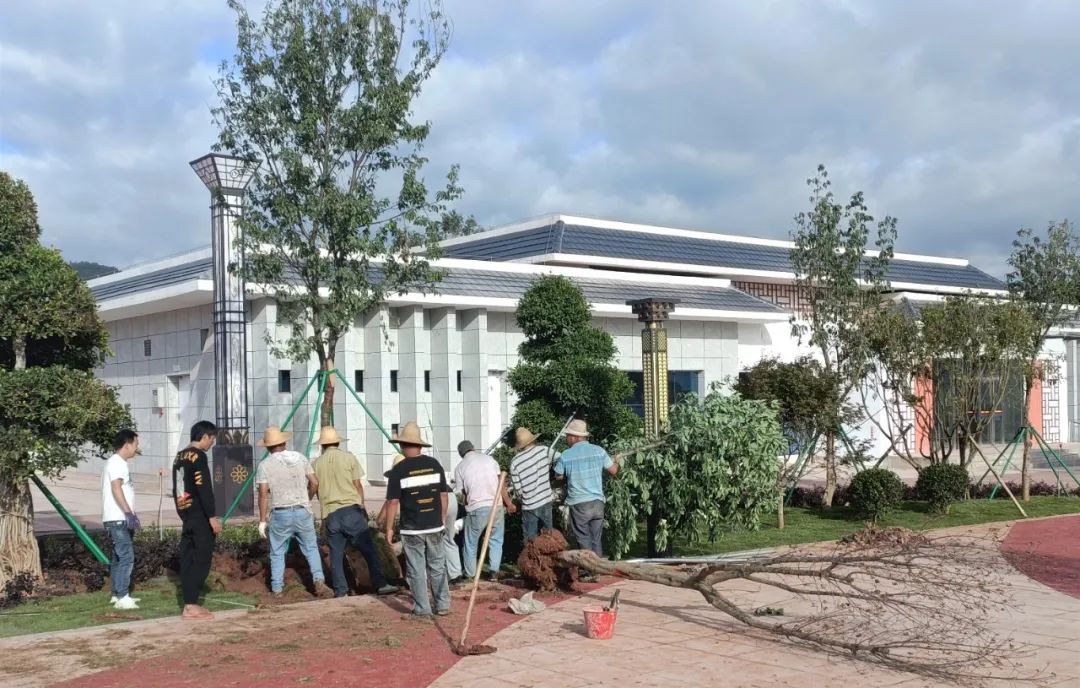 「我们的新时代」永平：组建工作专班，博南工业（物流）园区建设跑出加速度