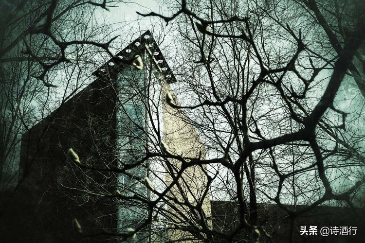 “昔人已乘黄鹤去”，继忠已经离开我们整整一年了