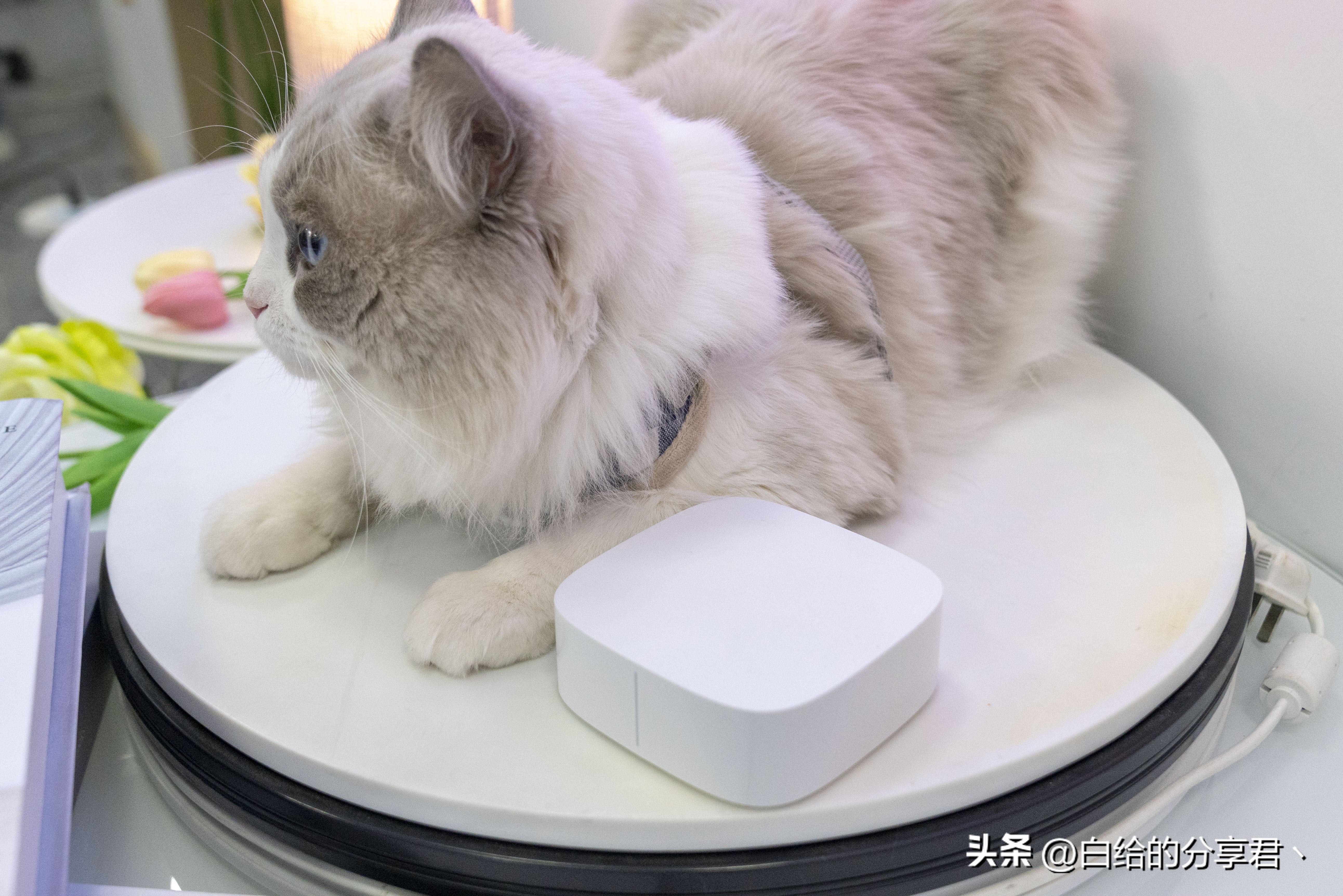 2023电视盒子性价比最高的推荐,2023有什么好的电视盒子推荐