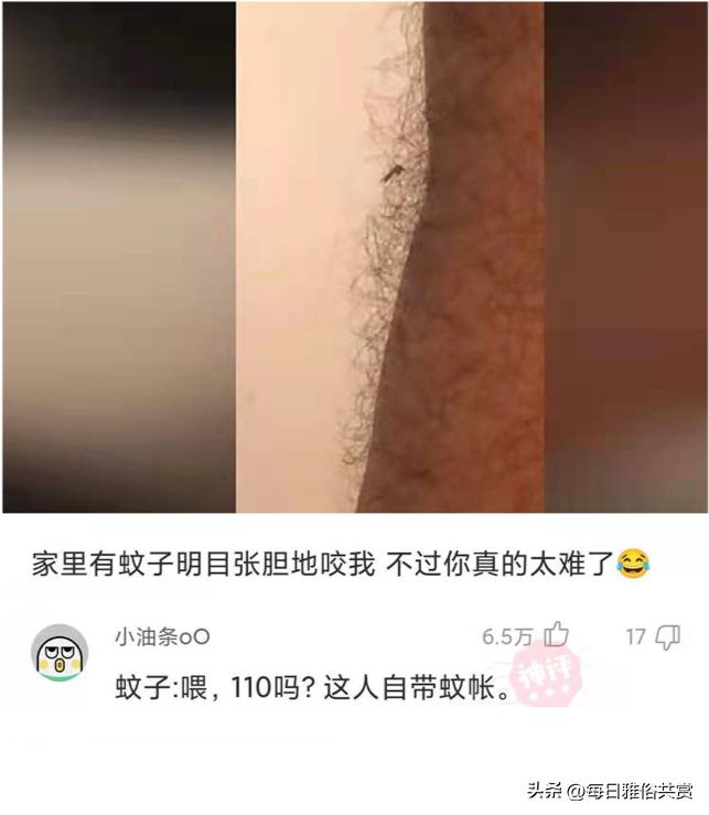 盐选神回复,盘点那些“盐选神回复”