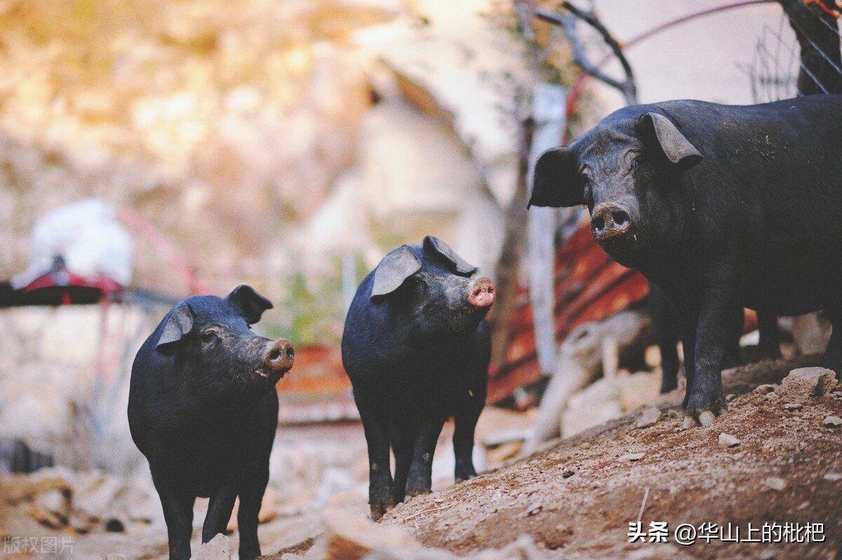 普通人如何做到月入10万呢,普通人如何做到月入10万以上