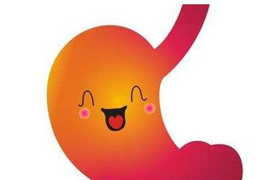 鸡内金吃了后会有什么反应,鸡内金经常喝有什么危害