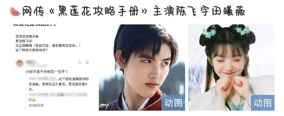 田曦薇真实事情,田曦薇还有新剧吗