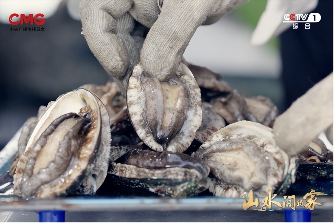 爱拼才会赢塘东取景,爱拼才会赢婚礼平潭