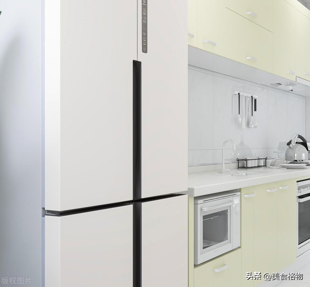 冰箱剩菜异味怎么解决,冰箱剩菜坏了有异味去除最快方法