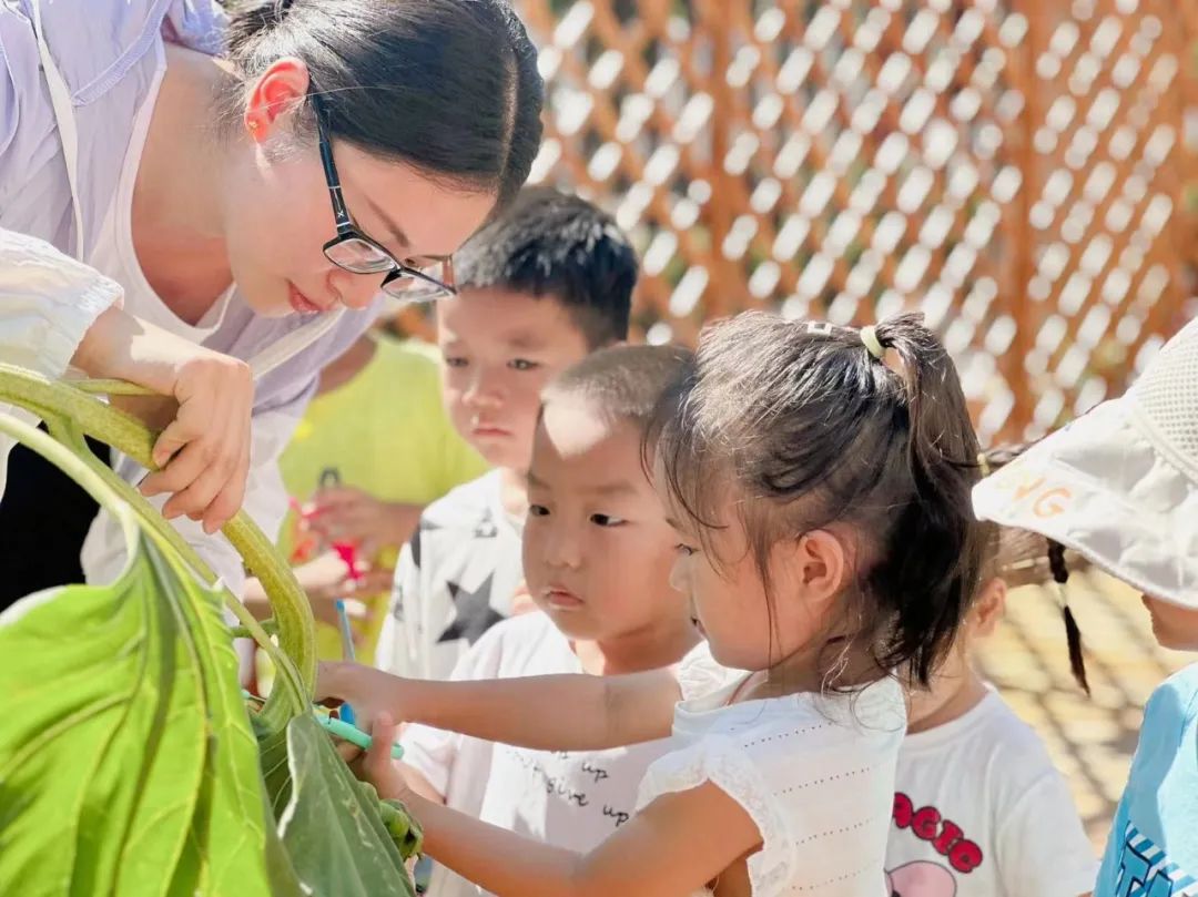 倾听儿童相伴成长——文景第一幼儿园游戏案例展评研讨活动